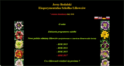 Desktop Screenshot of liliowce.net